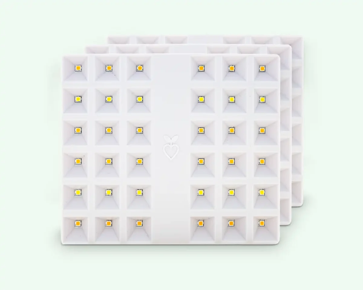 CultiKit - Image 2