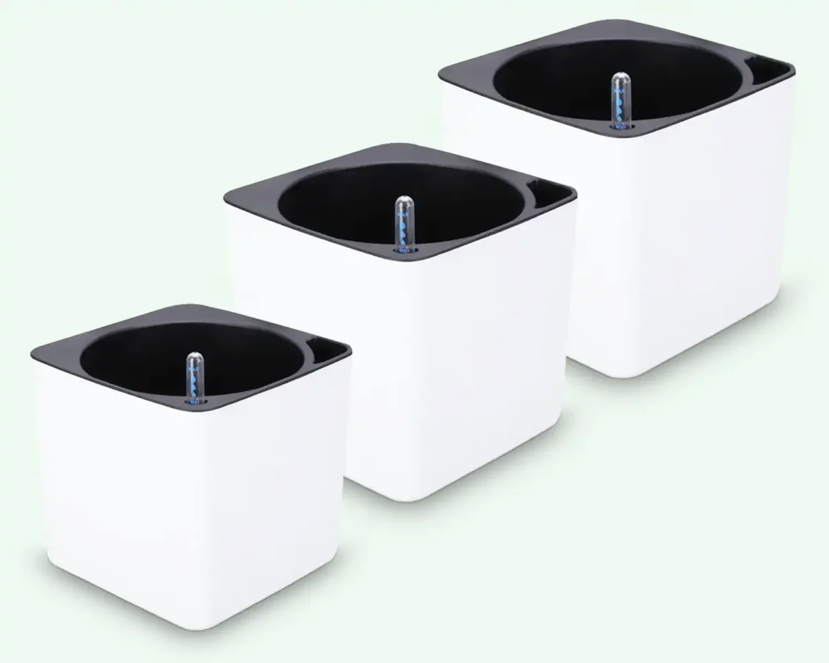 Selfwatering pots
